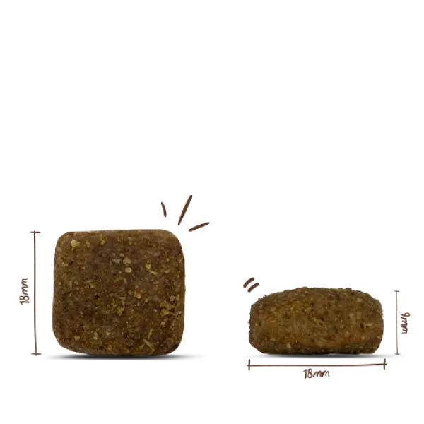 Bosch SOFT Land-Ente & Kartoffel 1kg